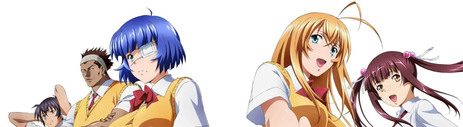 Key art for Shin Ikkitousen