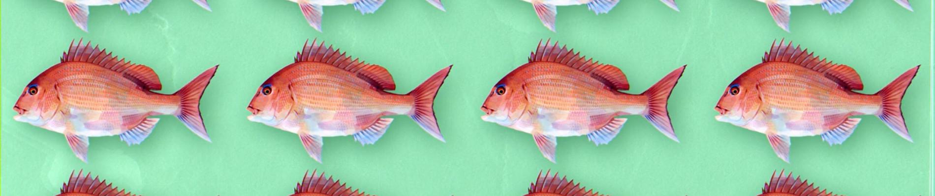 Key art for NegaPosi Angler
