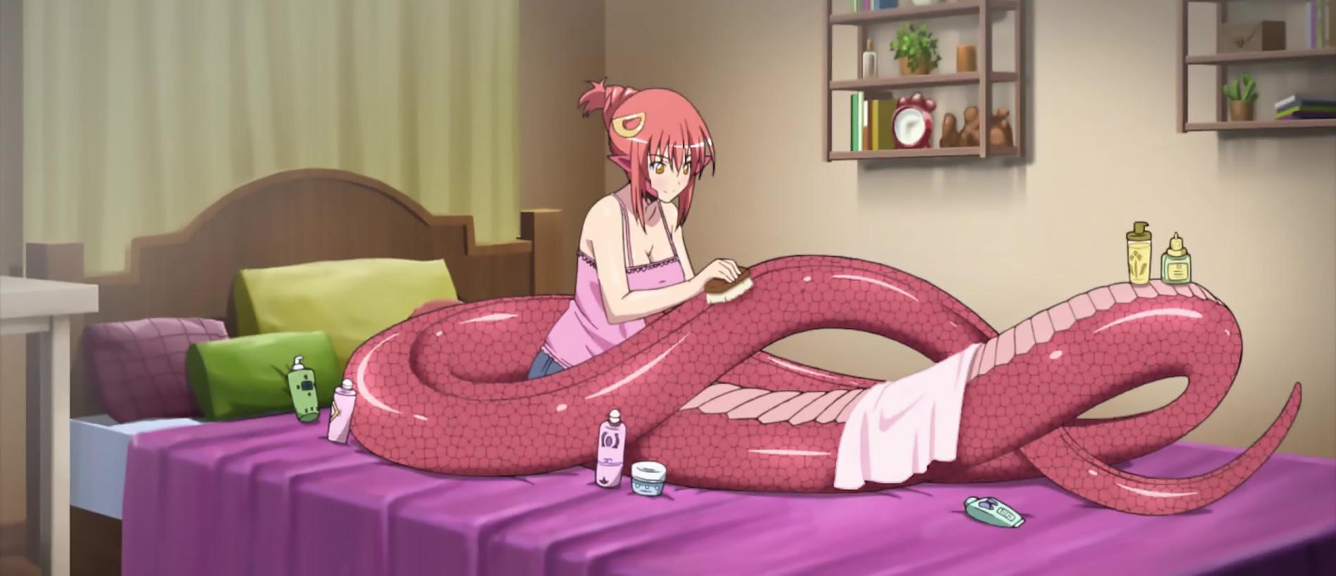 Key art for Monster Musume no Iru Nichijou: Hobo Mainichi OO! Namappoi Douga