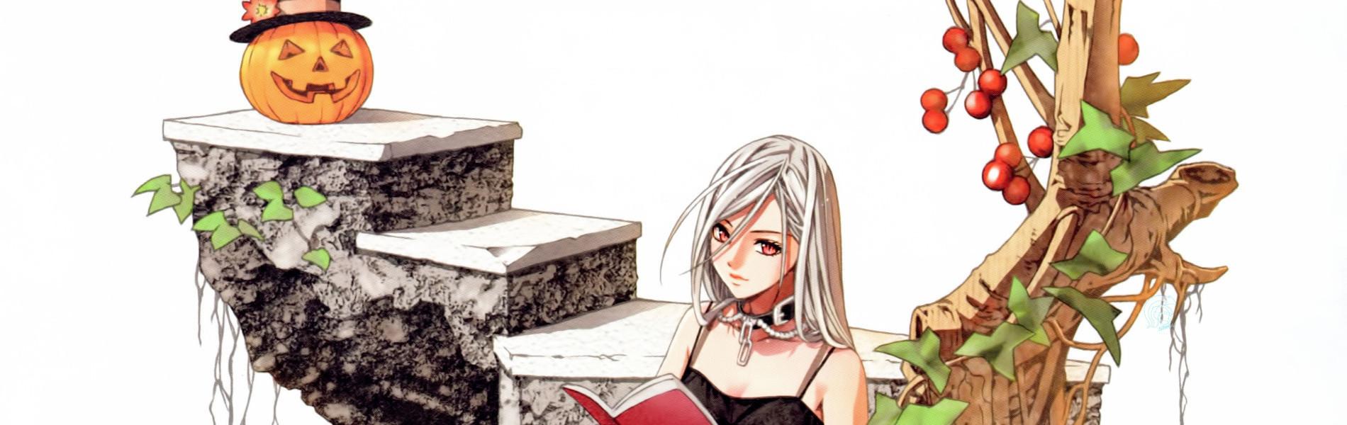 Key art for Rosario to Vampire Capu2