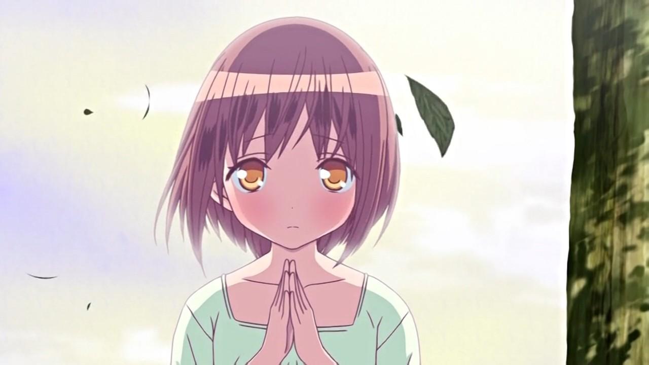 Key art for Momoiro Bouenkyou Anime Edition