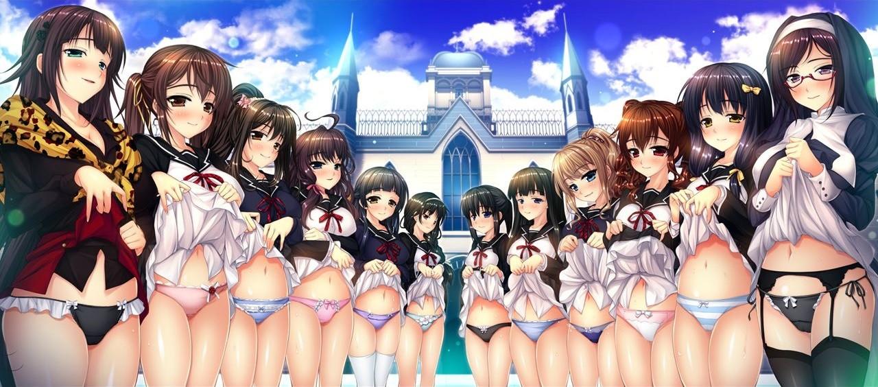 Key art for Bitch Gakuen ga Seijun na Hazu ga Nai!!? The Animation
