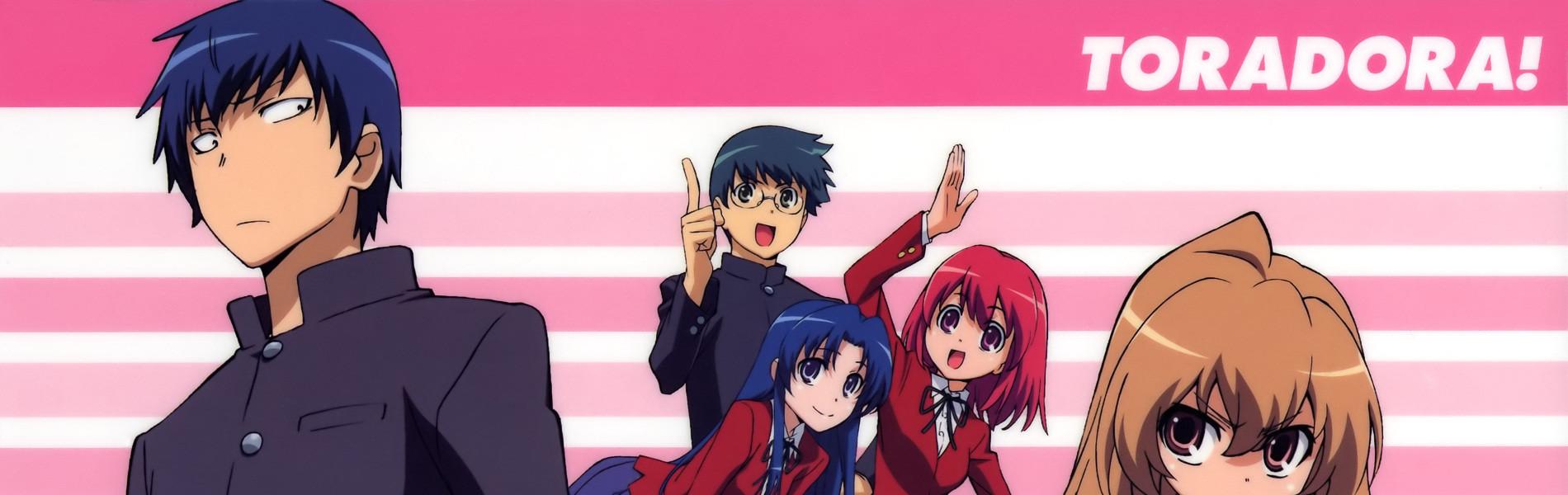 Key art for Toradora!: Bentou no Gokui