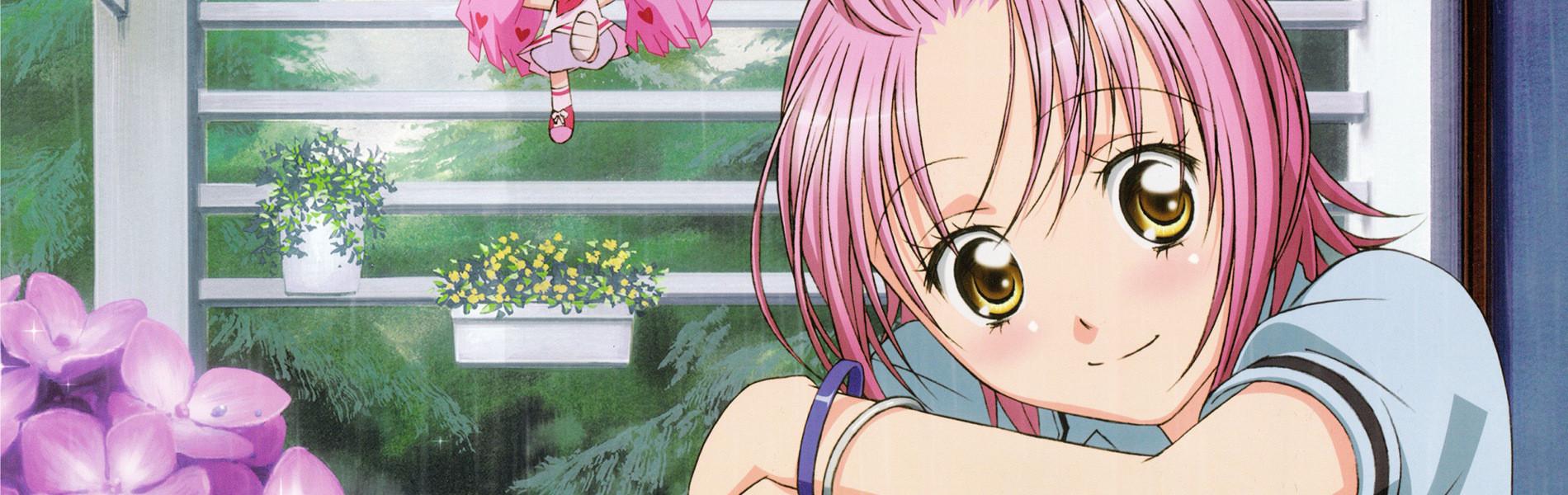 Key art for Shugo Chara!! Doki