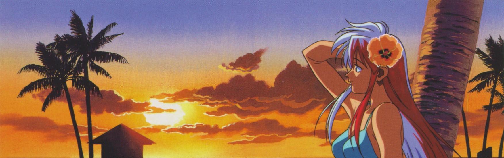 Key art for Tetsuwan Birdy
